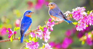 NHỮNG VIỆC NÊN LÀM NGÀY LẬP XUÂN